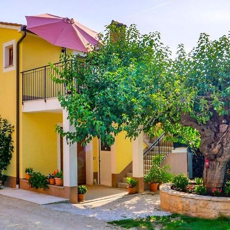 Studio Apartment Gianni Vižinada Dış mekan fotoğraf