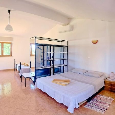 Studio Apartment Gianni Vižinada Dış mekan fotoğraf