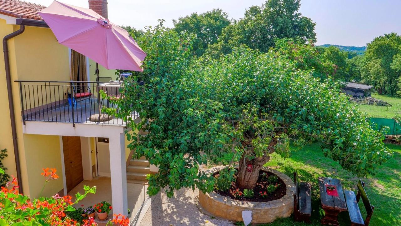 Studio Apartment Gianni Vižinada Dış mekan fotoğraf