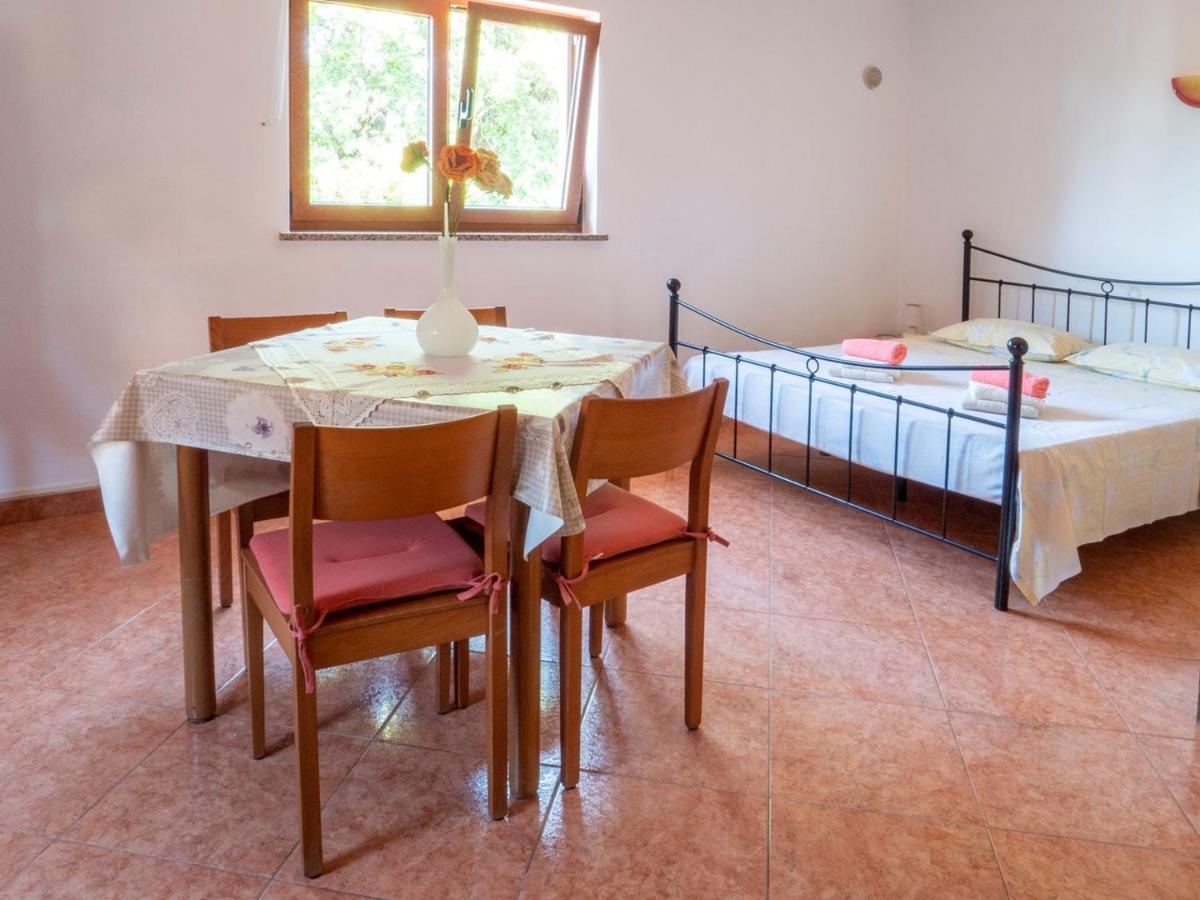 Studio Apartment Gianni Vižinada Dış mekan fotoğraf