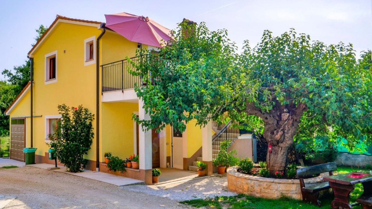 Studio Apartment Gianni Vižinada Dış mekan fotoğraf