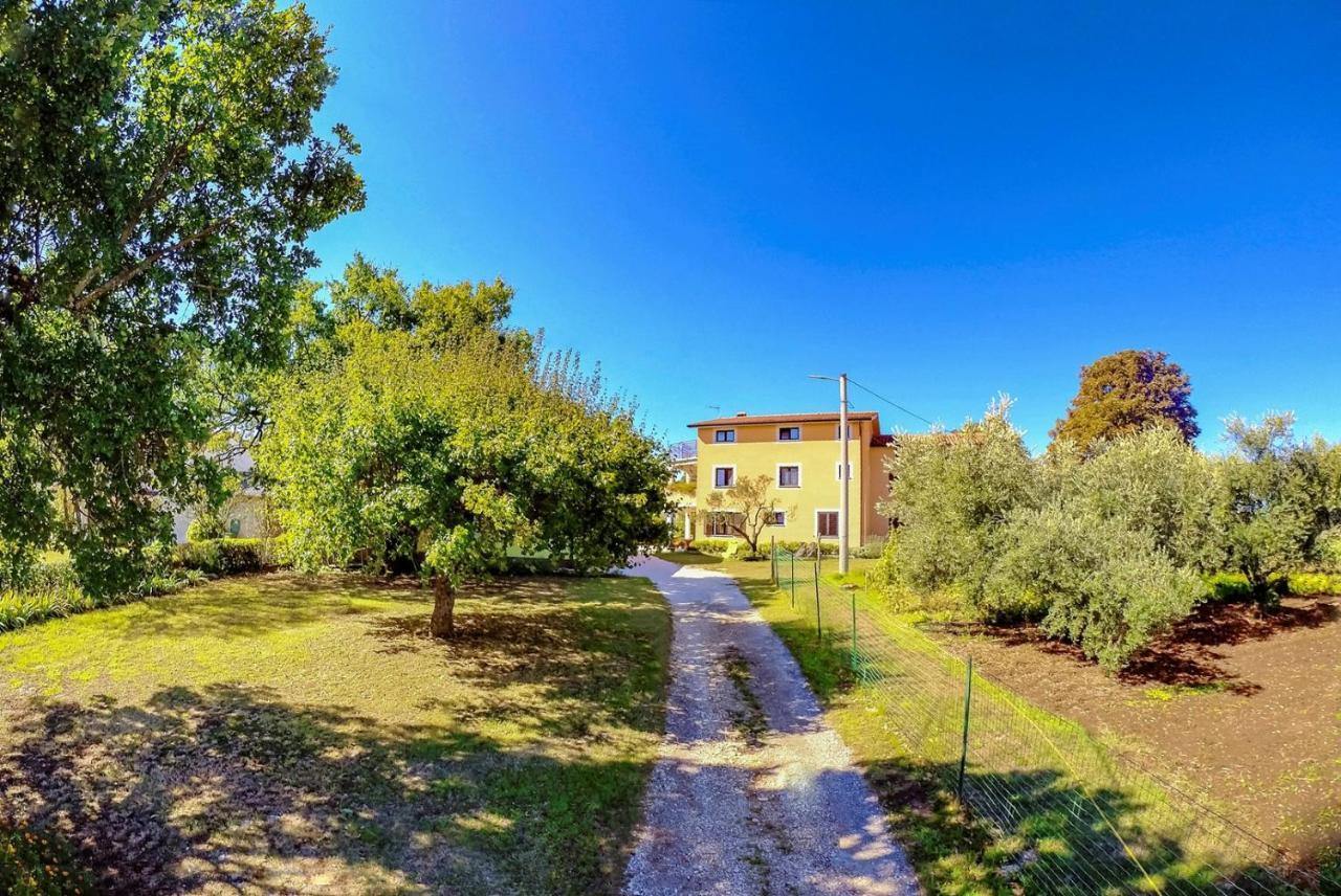 Studio Apartment Gianni Vižinada Dış mekan fotoğraf